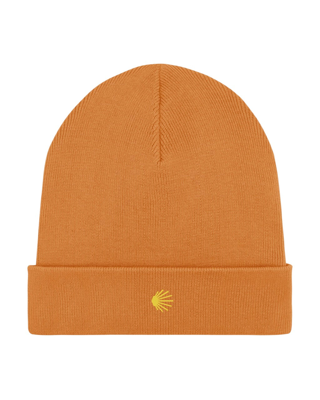 Shell Beanie